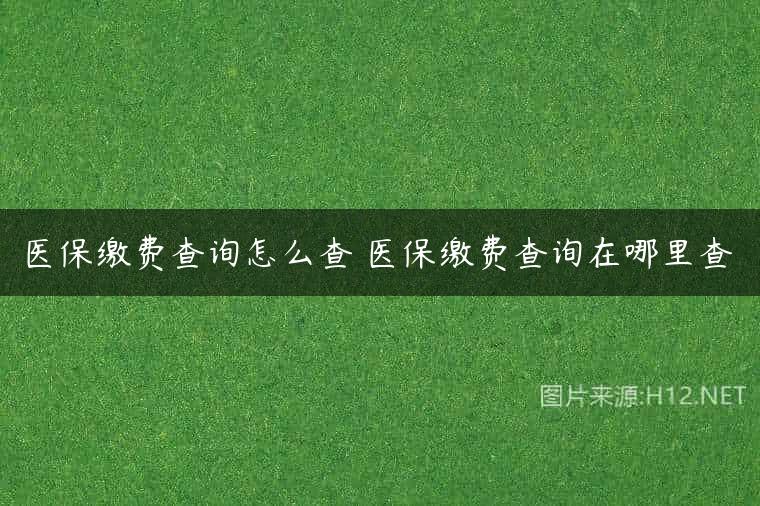 医保缴费查询怎么查 医保缴费查询在哪里查