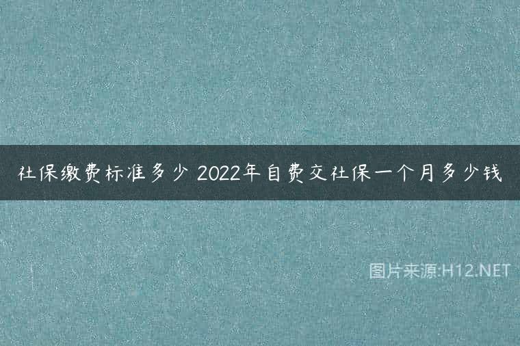 社保缴费标准多少 2022年自费交社保一个月多少钱