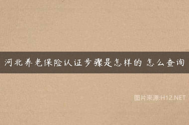 河北养老保险认证步骤是怎样的 怎么查询