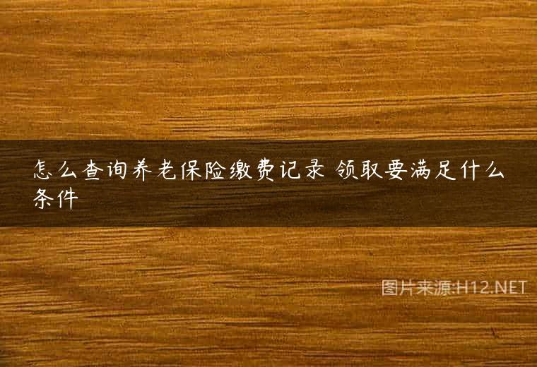 怎么查询养老保险缴费记录 领取要满足什么条件