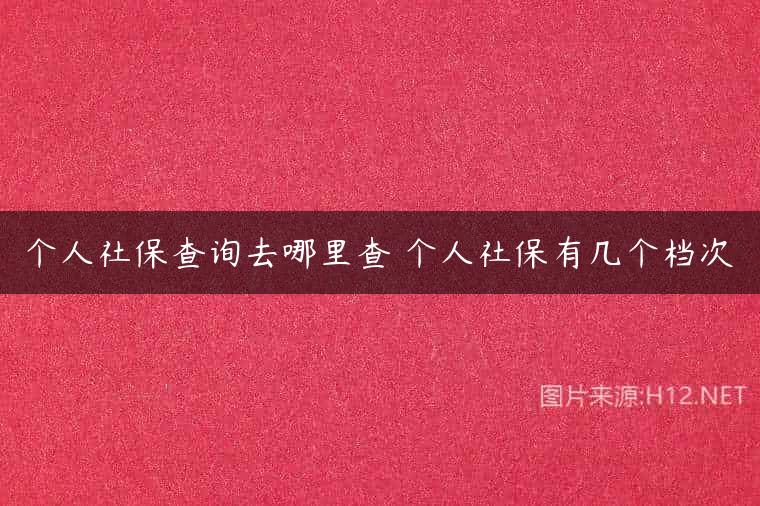 个人社保查询去哪里查 个人社保有几个档次