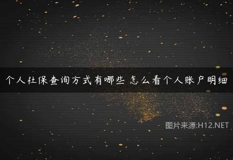 个人社保查询方式有哪些 怎么看个人账户明细