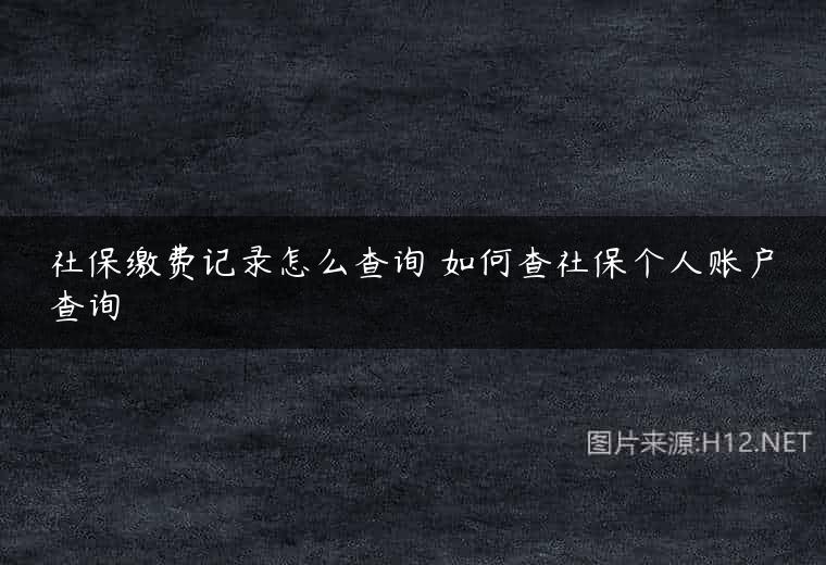 社保缴费记录怎么查询 如何查社保个人账户查询