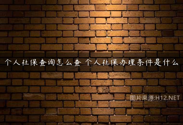 个人社保查询怎么查 个人社保办理条件是什么