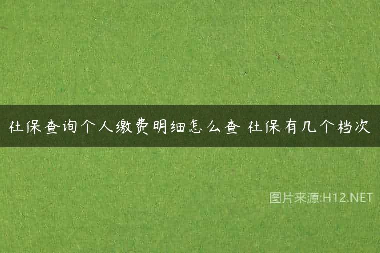 社保查询个人缴费明细怎么查 社保有几个档次