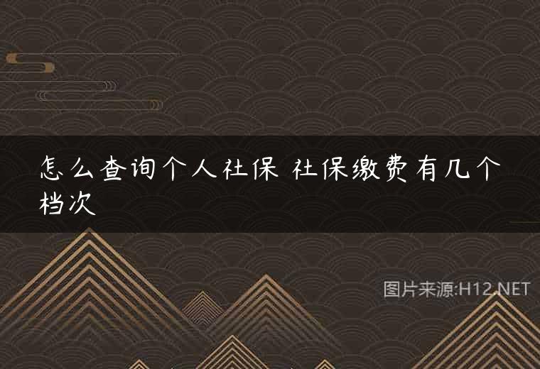 怎么查询个人社保 社保缴费有几个档次