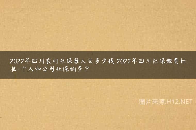 2022年四川农村社保每人交多少钱 2022年四川社保缴费标准-个人和公司社保纳多少
