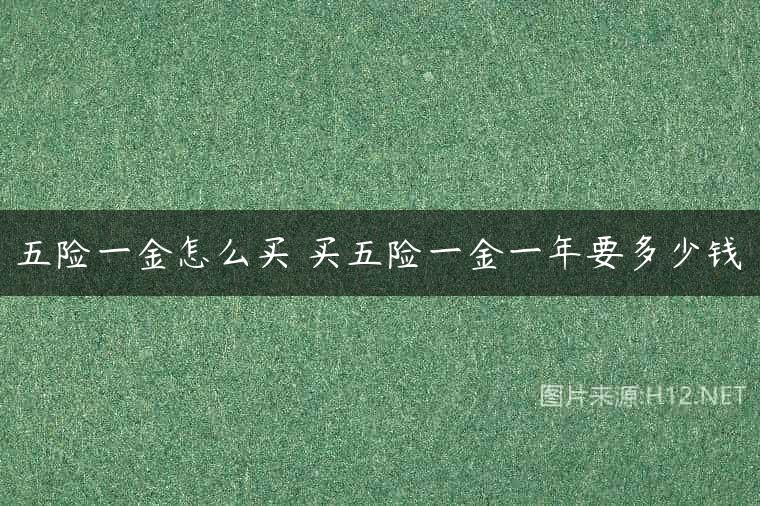 五险一金怎么买 买五险一金一年要多少钱