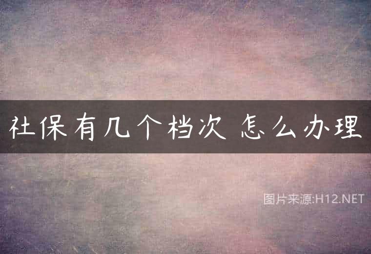 社保有几个档次 怎么办理