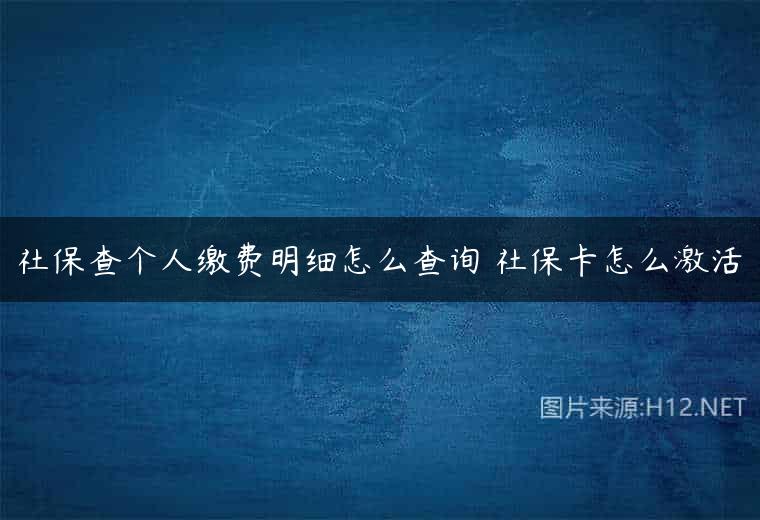 社保查个人缴费明细怎么查询 社保卡怎么激活