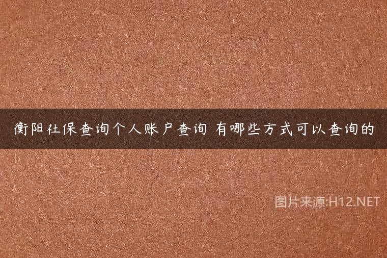 衡阳社保查询个人账户查询 有哪些方式可以查询的