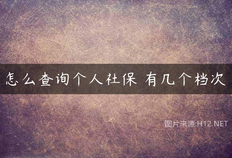 怎么查询个人社保 有几个档次