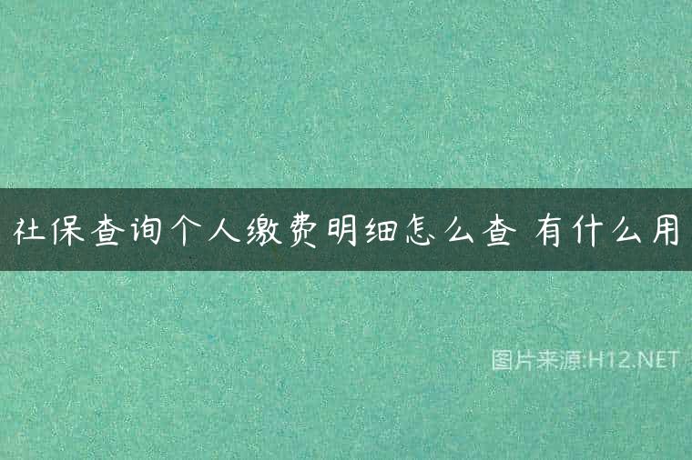 社保查询个人缴费明细怎么查 有什么用