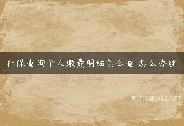 社保查询个人缴费明细怎么查 怎么办理