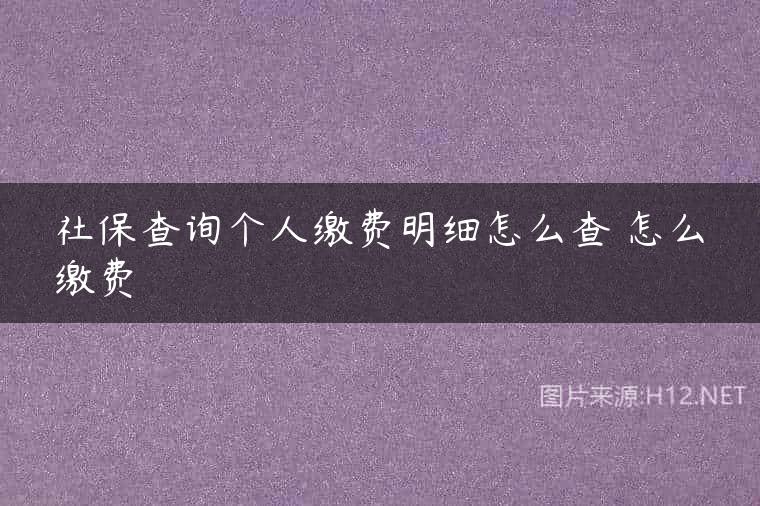 社保查询个人缴费明细怎么查 怎么缴费
