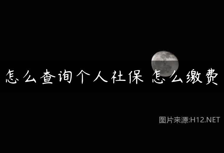 怎么查询个人社保 怎么缴费
