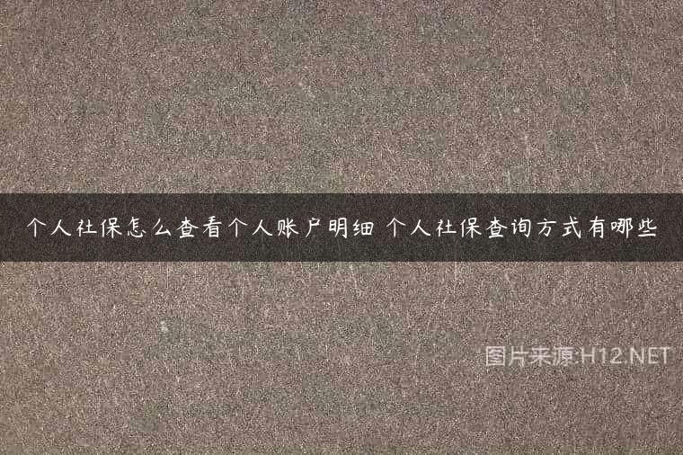 个人社保怎么查看个人账户明细 个人社保查询方式有哪些
