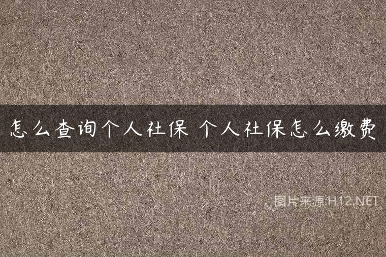 怎么查询个人社保 个人社保怎么缴费