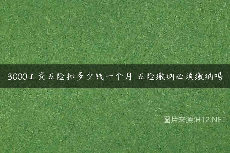 3000工资五险扣多少钱一个月 五险缴纳必须缴纳吗