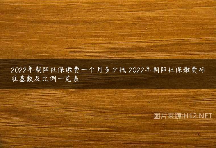 2022年朝阳社保缴费一个月多少钱 2022年朝阳社保缴费标准基数及比例一览表