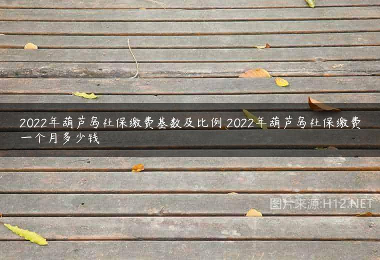 2022年葫芦岛社保缴费基数及比例 2022年葫芦岛社保缴费一个月多少钱