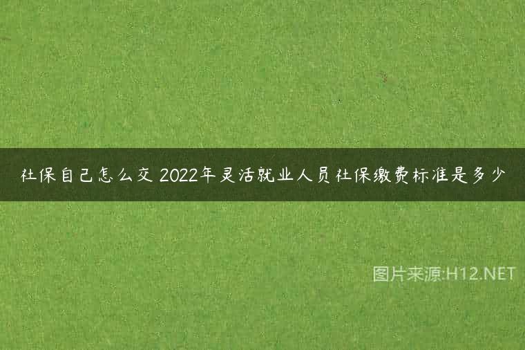 社保自己怎么交 2022年灵活就业人员社保缴费标准是多少