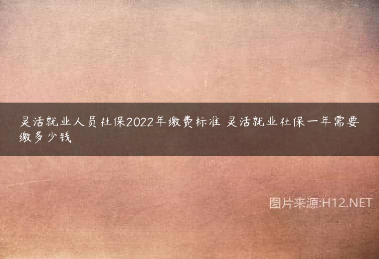灵活就业人员社保2022年缴费标准 灵活就业社保一年需要缴多少钱