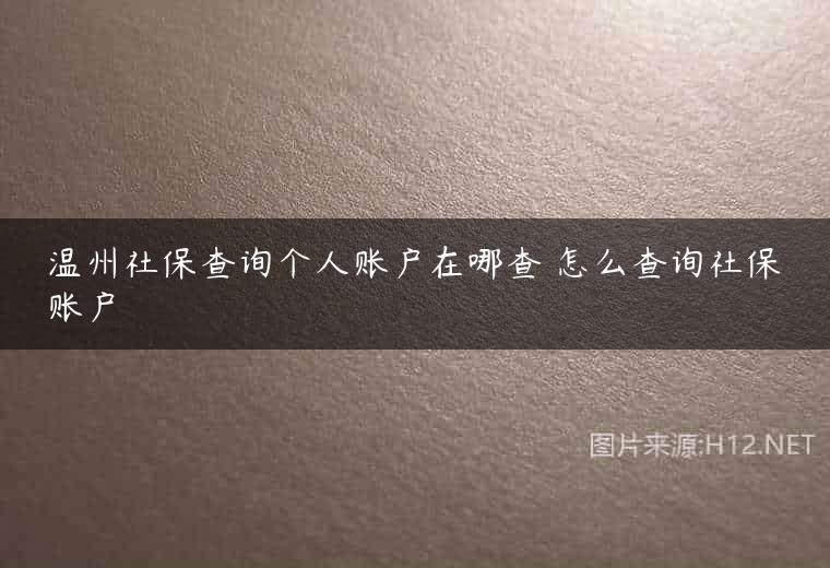 温州社保查询个人账户在哪查 怎么查询社保账户