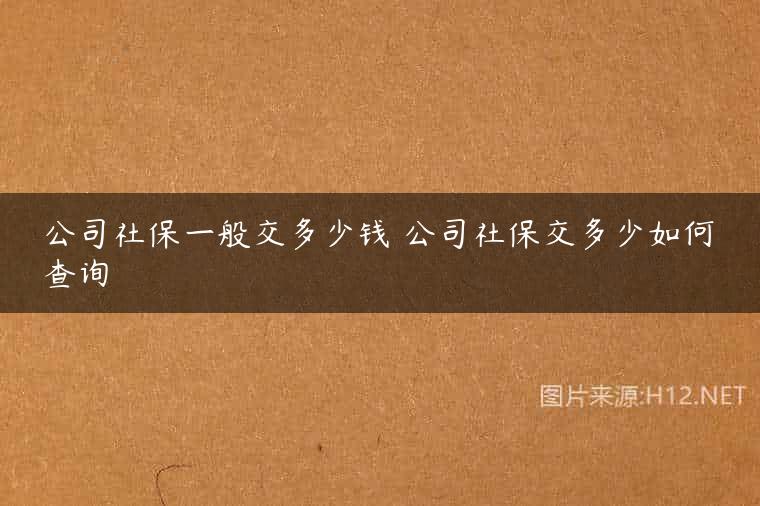 公司社保一般交多少钱 公司社保交多少如何查询