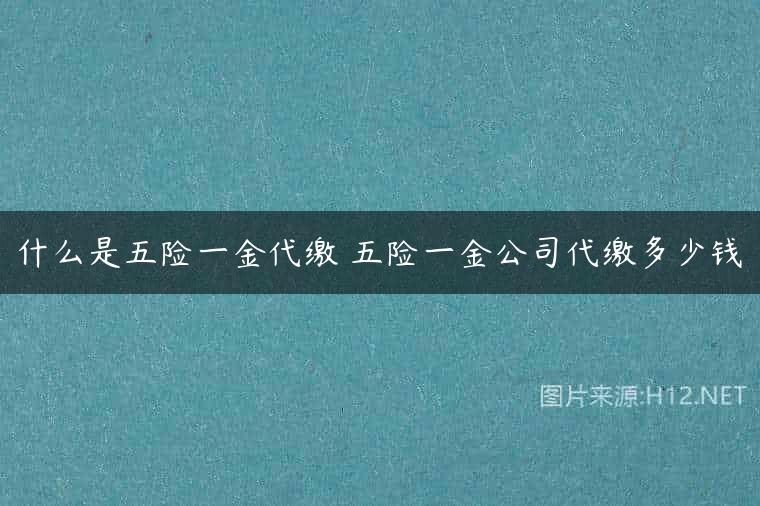 什么是五险一金代缴 五险一金公司代缴多少钱