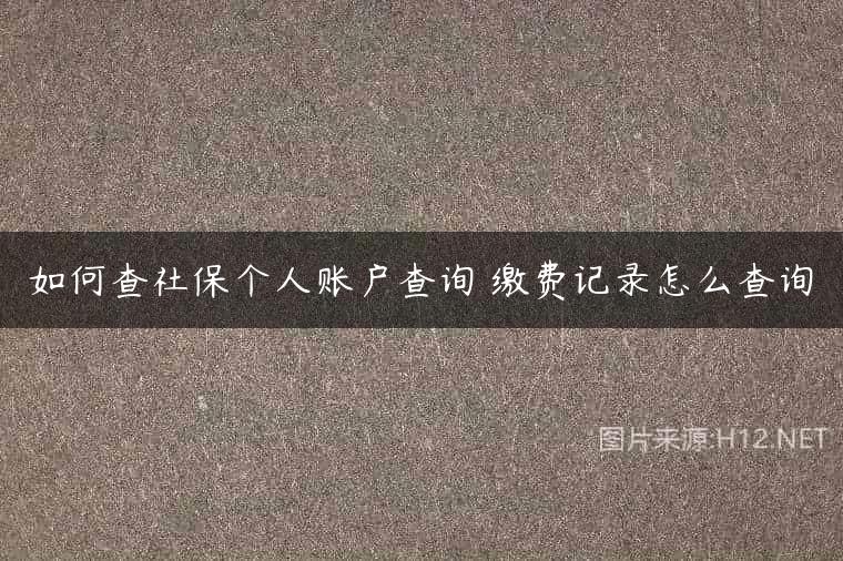 如何查社保个人账户查询 缴费记录怎么查询