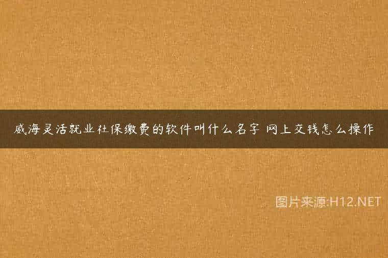 威海灵活就业社保缴费的软件叫什么名字 网上交钱怎么操作