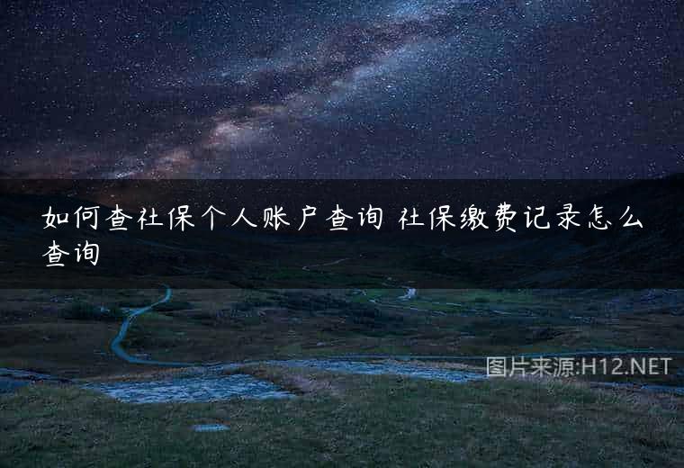 如何查社保个人账户查询 社保缴费记录怎么查询