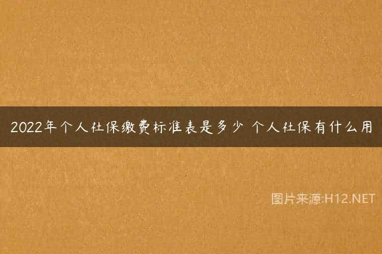 2022年个人社保缴费标准表是多少 个人社保有什么用