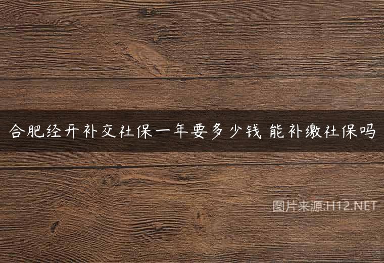 合肥经开补交社保一年要多少钱 能补缴社保吗