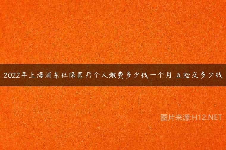 2022年上海浦东社保医疗个人缴费多少钱一个月 五险交多少钱