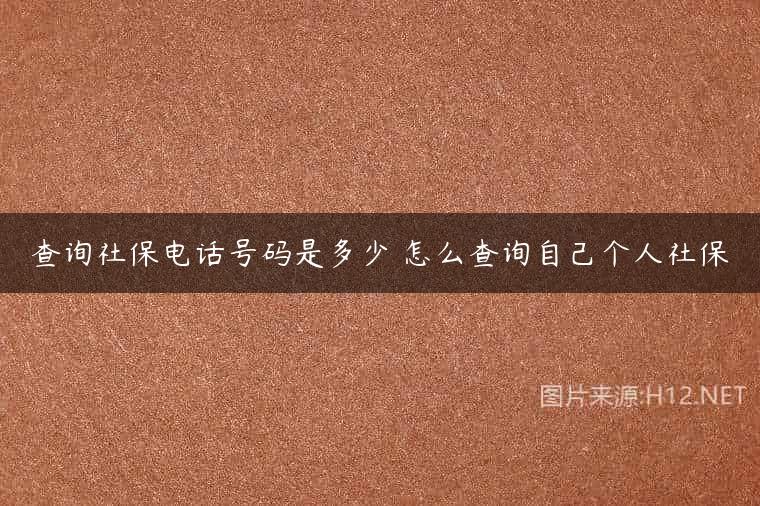 查询社保电话号码是多少 怎么查询自己个人社保