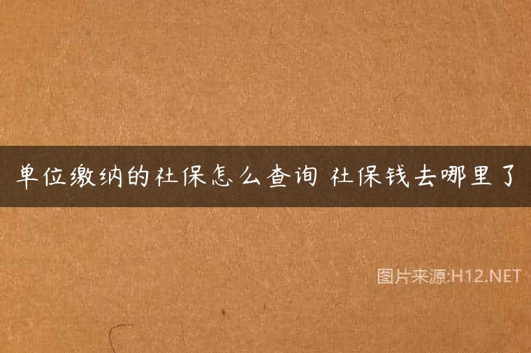 单位缴纳的社保怎么查询 社保钱去哪里了