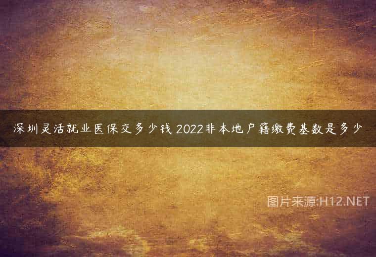 深圳灵活就业医保交多少钱 2022非本地户籍缴费基数是多少