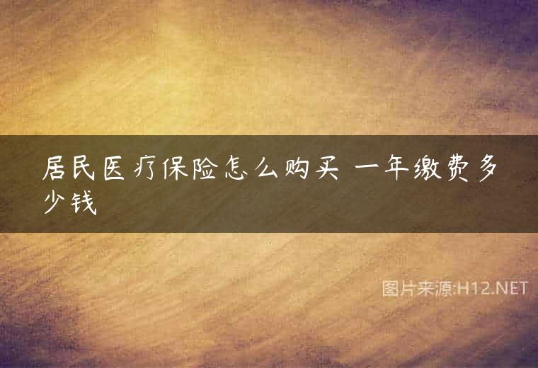 居民医疗保险怎么购买 一年缴费多少钱