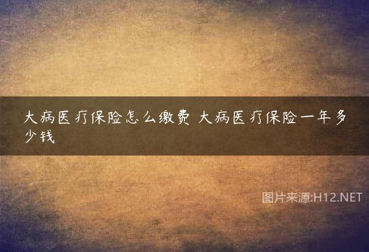 大病医疗保险怎么缴费 大病医疗保险一年多少钱