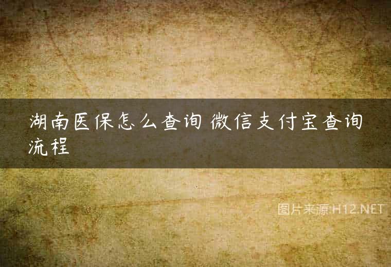 湖南医保怎么查询 微信支付宝查询流程