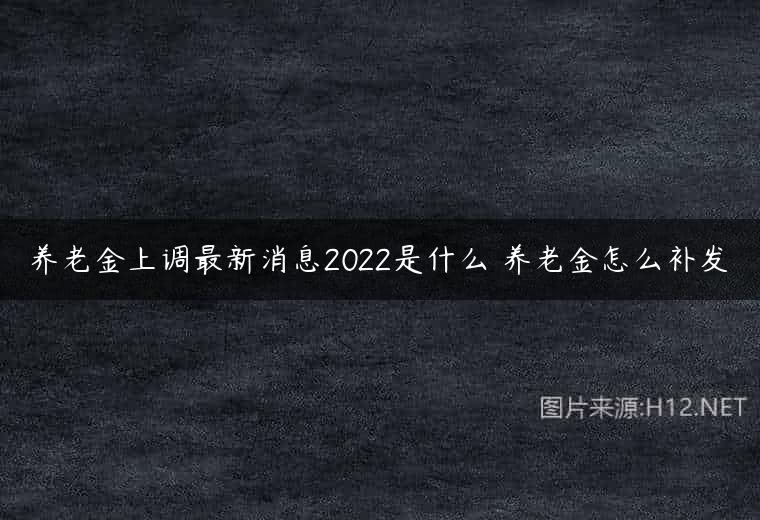 养老金上调最新消息2022是什么 养老金怎么补发