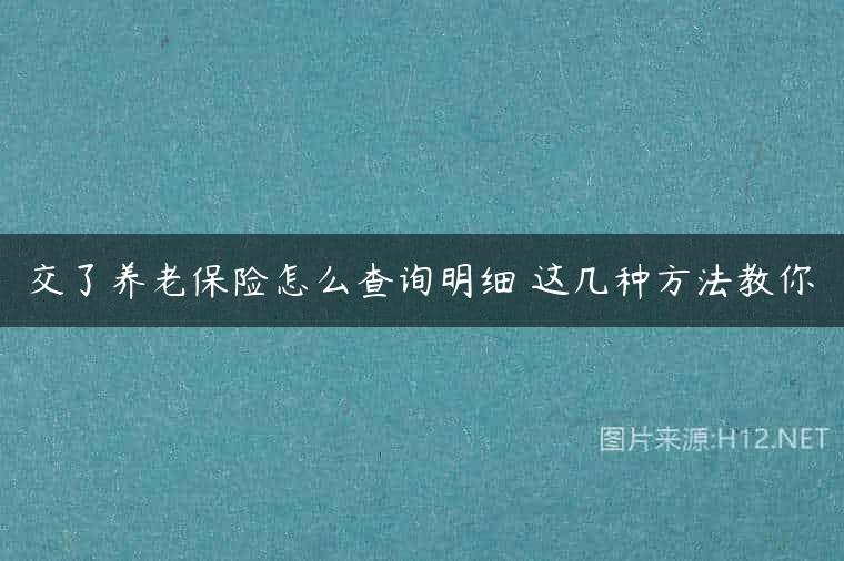 交了养老保险怎么查询明细 这几种方法教你