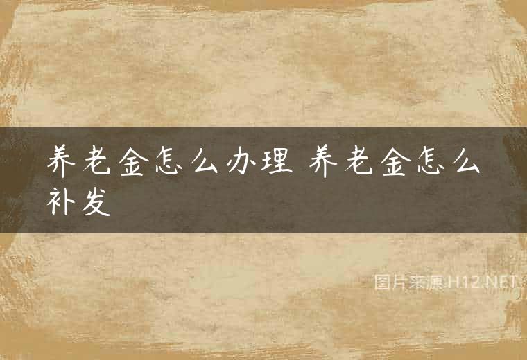 养老金怎么办理 养老金怎么补发