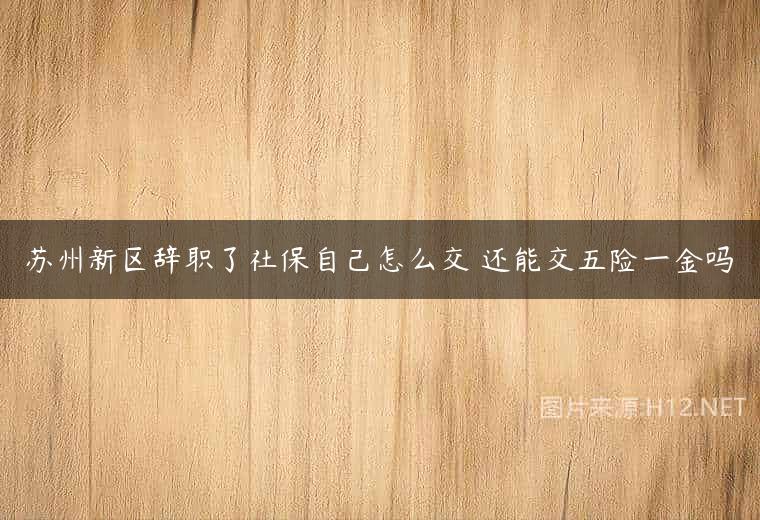 苏州新区辞职了社保自己怎么交 还能交五险一金吗