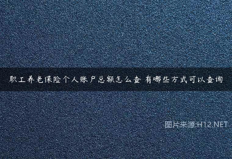 职工养老保险个人账户总额怎么查 有哪些方式可以查询