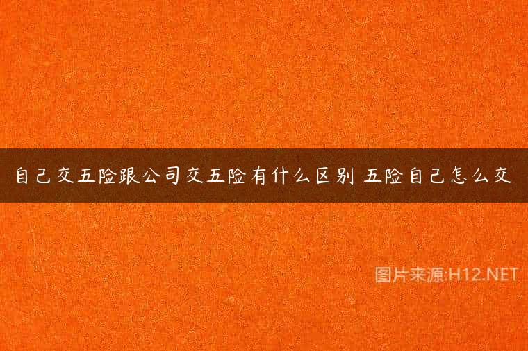 自己交五险跟公司交五险有什么区别 五险自己怎么交
