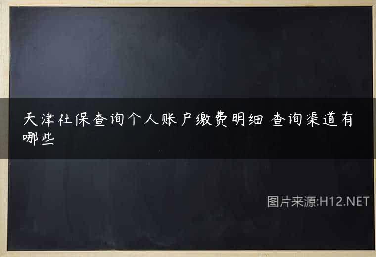 天津社保查询个人账户缴费明细 查询渠道有哪些