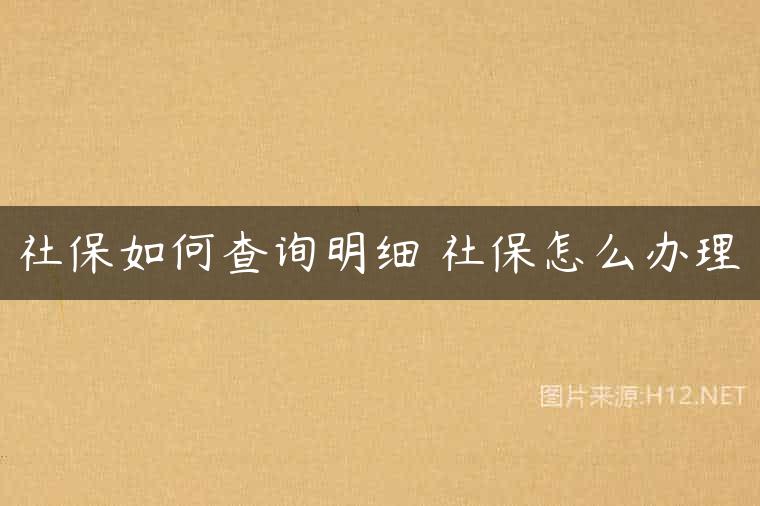 社保如何查询明细 社保怎么办理